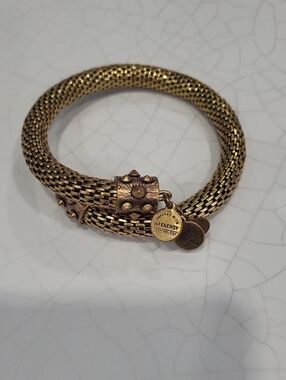 Alex And Ani Gold-Tone Woven Mesh Bracelet with Decorative Charm